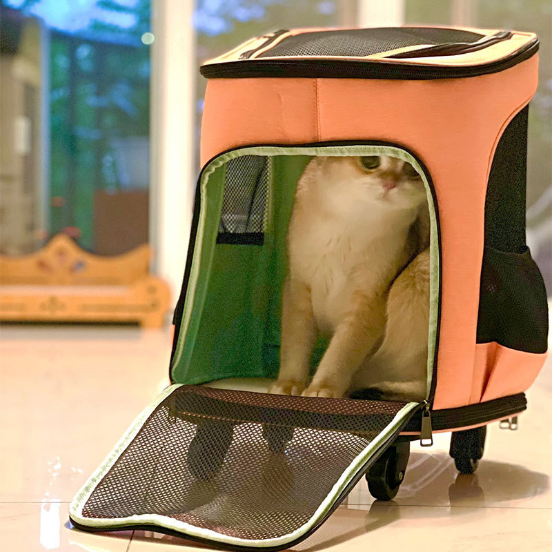 Foldable Backpack Small - Mochila de Transporte para Mascotas, Plegable,