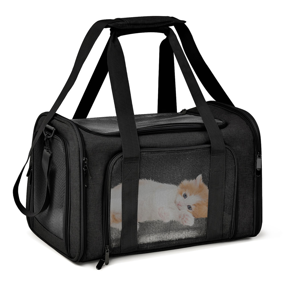 Foldable Backpack Small - Bolsa de Transporte Plegable e Impermeable