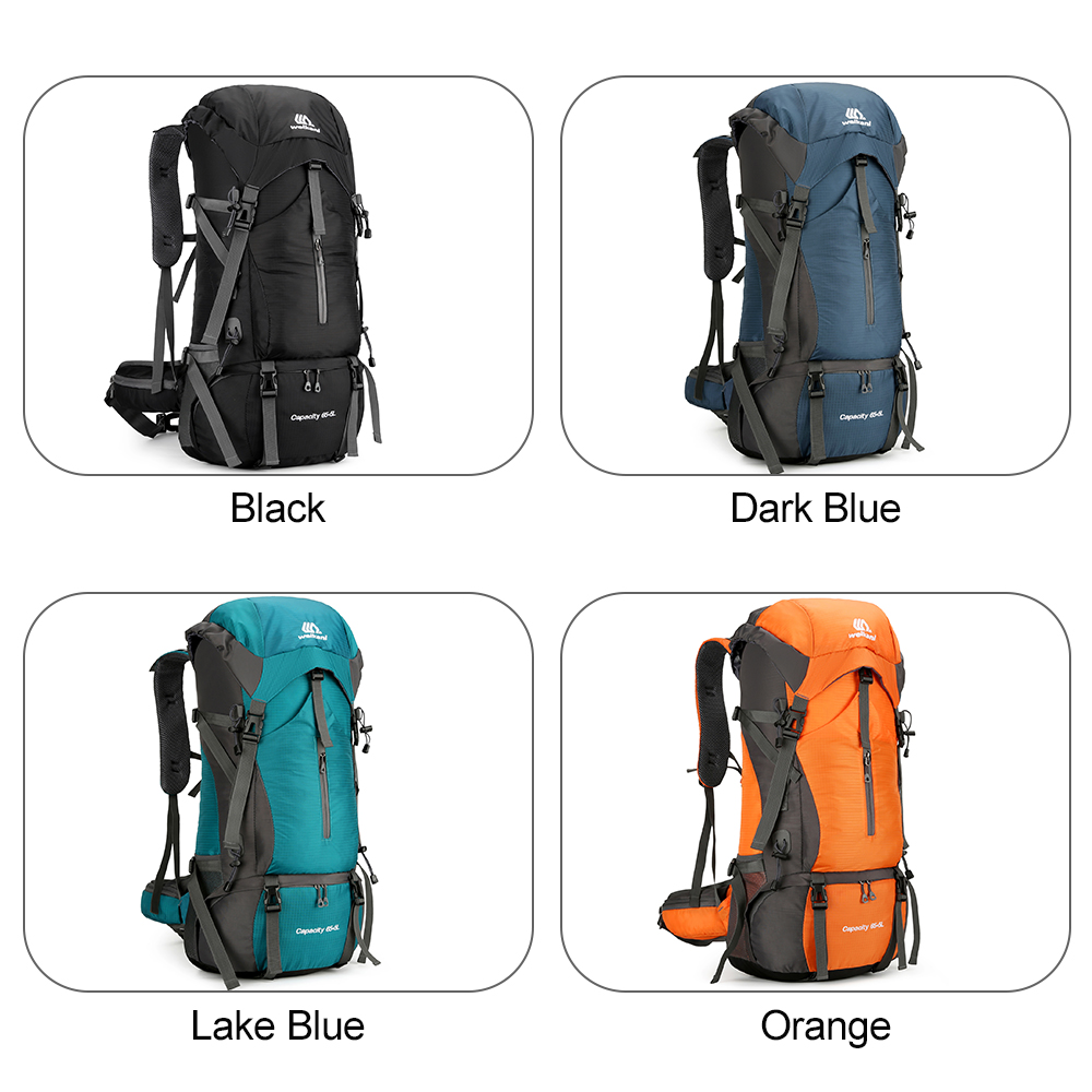 Mochila de viaje de 70L, resis - Rain Cover Backpack reseña y precio