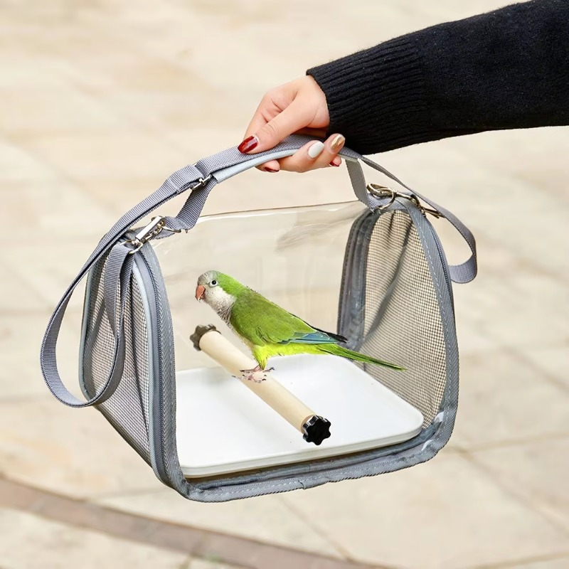 Mochila Plegable y Portátil pa - Foldable Backpack Small reseña y precio